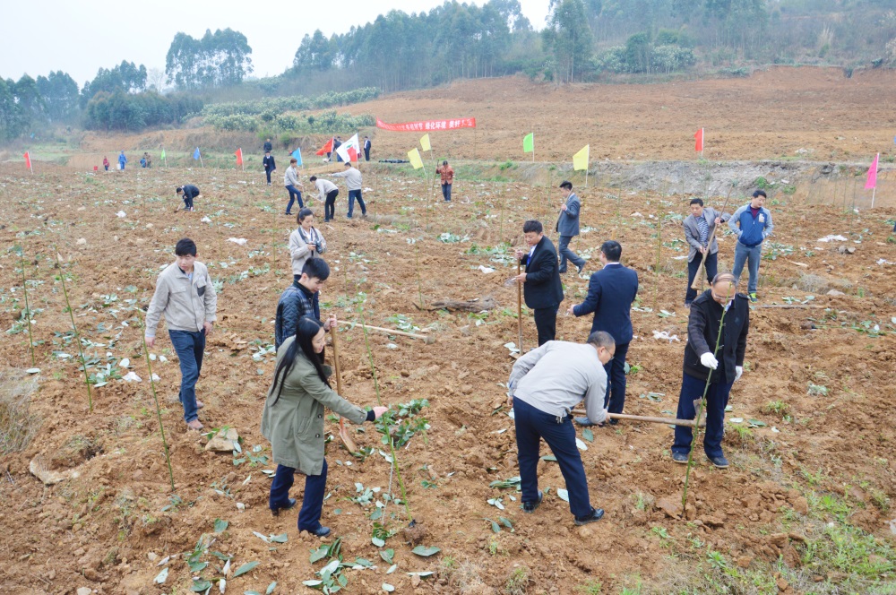 2016年3月中明环保集团开展植树活动